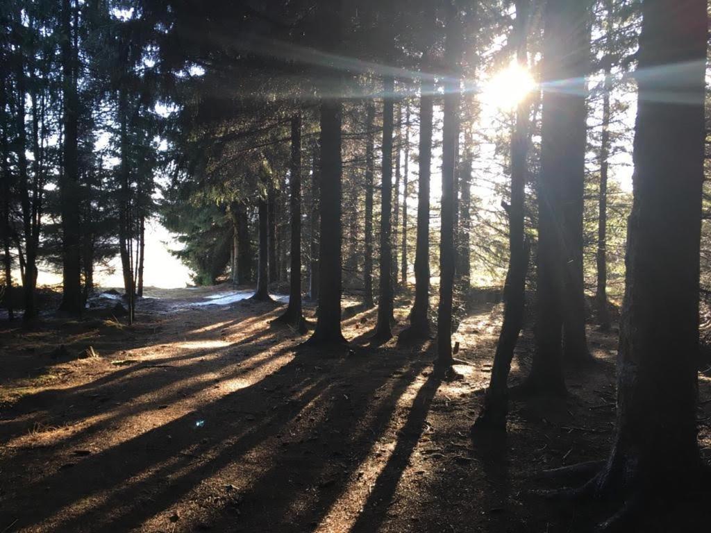 Apartmany Forest Kovářská Εξωτερικό φωτογραφία